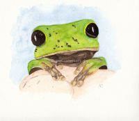 frosch tbfrost